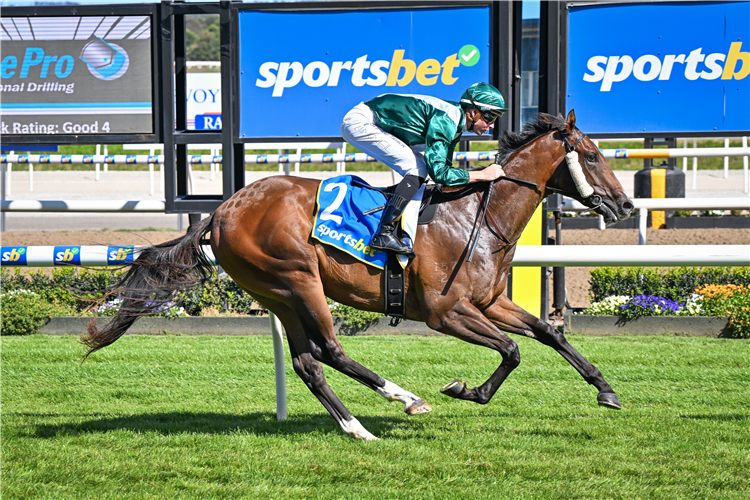 LEGACY BOUND winning the Pipe Pro Directional Drilling 2YO Maiden Plate at Ballarat in Australia.