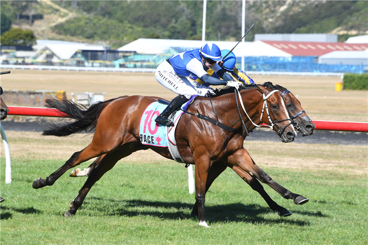 LHASA winning the IRT