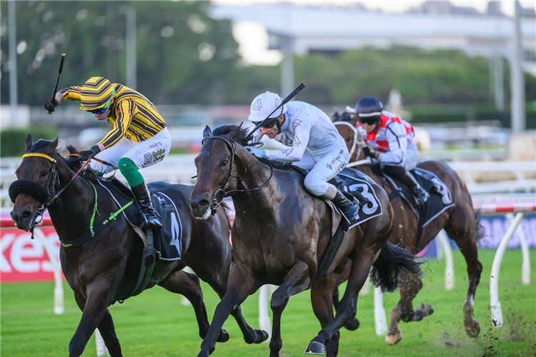 LIBERTAD winning the U&U RECRUITMENT VICTORY STAKES at Eagle Farm in Australia.