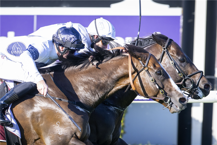 LIBERTAD winning the Winterbottom Stakes beating Overpass