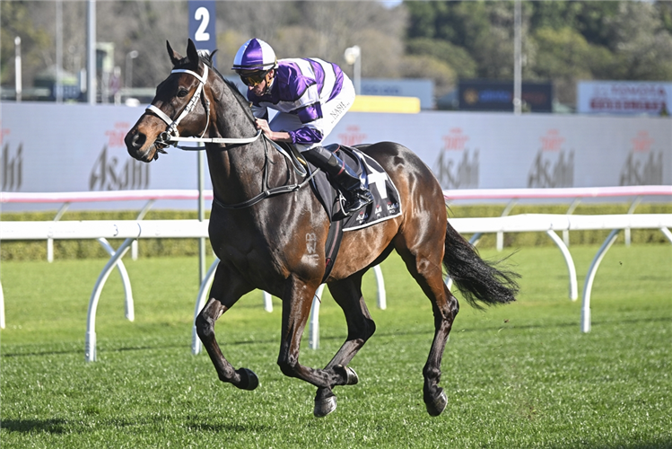 LINDERMANN winning the ASAHI SUPER DRY CHELMSFORD STAKES at Randwick in Australia.