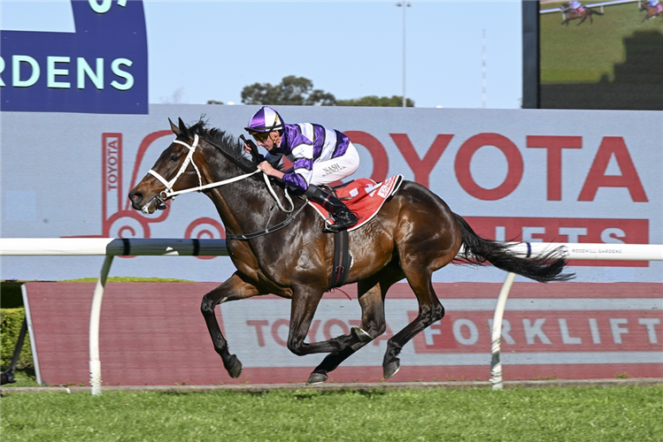 LINDERMANN winning the TOYOTA FORKLIFTS HILL STAKES at Rosehill in Australia.