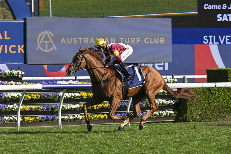 LINEBACKER winning the SILVER EAGLE at Randwick in Australia.