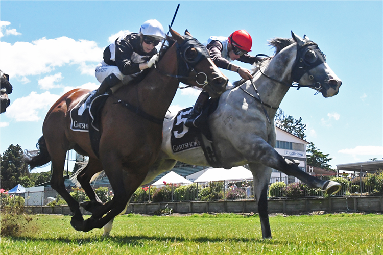 LINGJUN XIONGFENG (outside) winning the SIMPLY LAW GREERTON