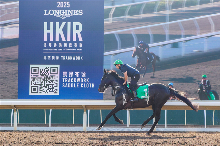 LOS ANGELES - LONGINES Hong Kong International Races Monday Trackwork