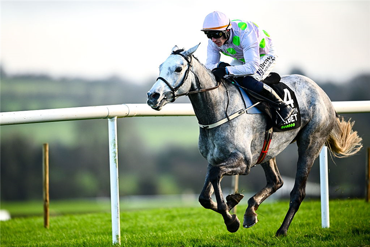 LOSSIEMOUTH winning the Morgiana Hurdle at Punchestown in Kildare.
