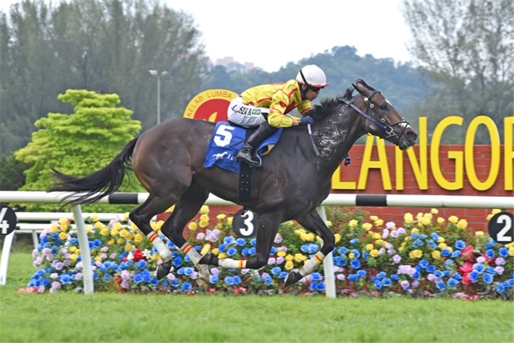 LUCKY MAGIC winning the HYGAIN HORSE CITY SELANGOR GOLD CUP