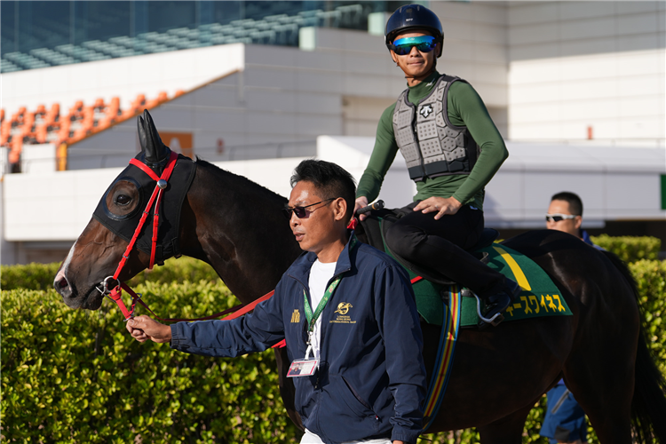 Derek Leung and Lucky Sweynesse make their way onto the turf course.