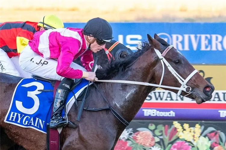 LUVNWAR winning the HYGAIN HANDICAP at Pinjarra in Australia.