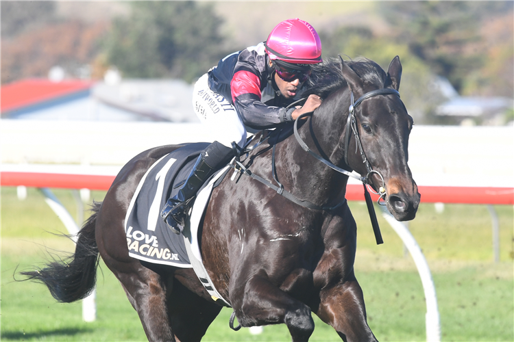 MA TE WA winning the HIREPOOL 3YO