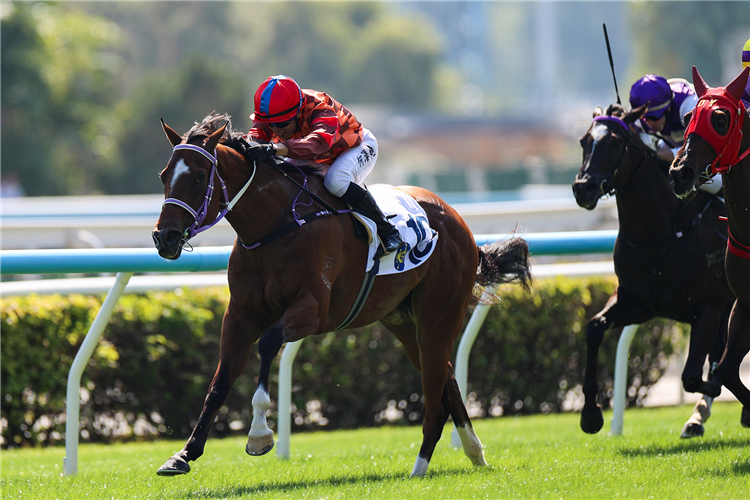 MABUBU winning the BOCHK CROSS
