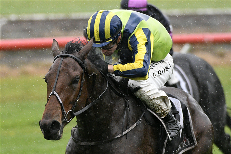 MACALLAN winning the TIERRA MAIDEN 3YO