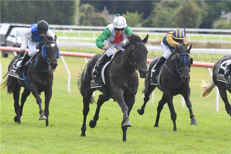 MAD MAX winning the McMILLAN EQUINE FEEDS MAIDEN