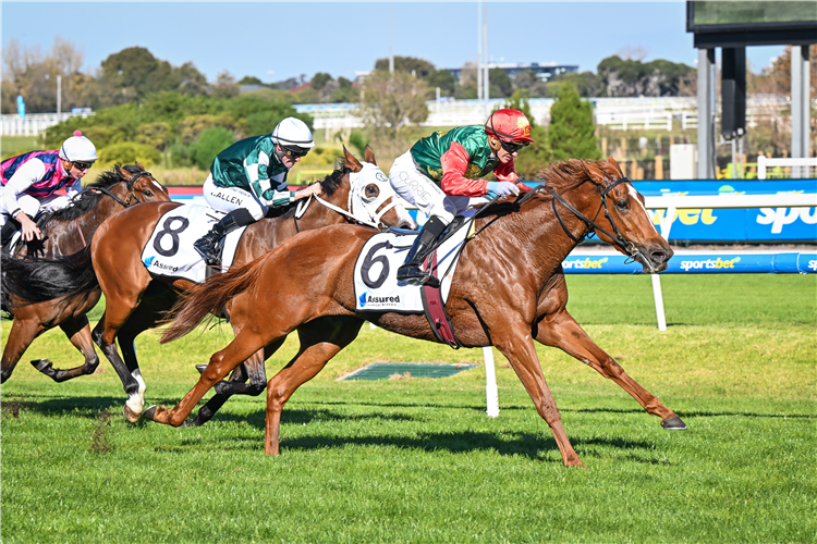 MADIYYA winning the Handicap at Caulfield in Australia.