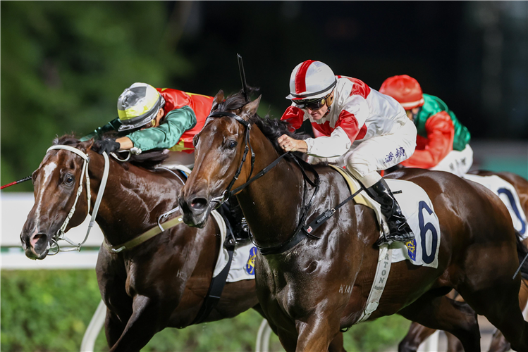 MAGNIFIQUE winning the THE CHOW SILVER PLATE (HANDICAP)