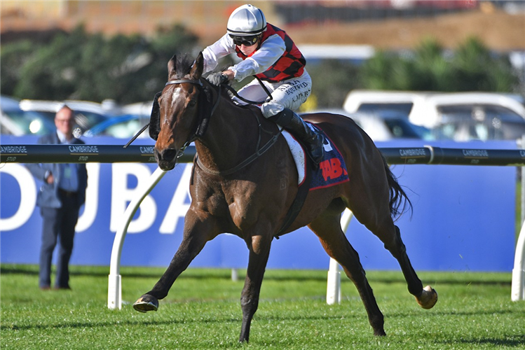 MAJOR MAJOR winning the TRACKSIDE.CO.NZ