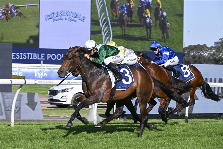 MANAAL winning the Sheraco Stakes at Rosehill in Australia.