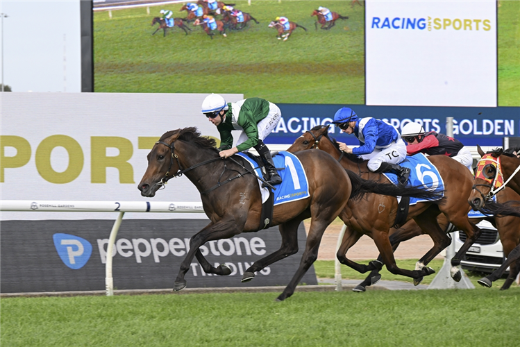 MANAAL winning the RACING AND SPORTS GOLDEN PENDANT at Rosehill in Australia.