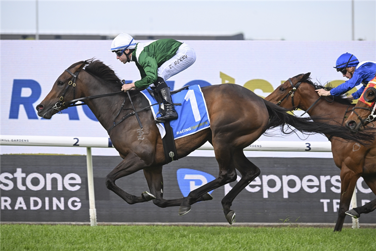 MANAAL winning the RACING AND SPORTS GOLDEN PENDANT at Rosehill in Australia.