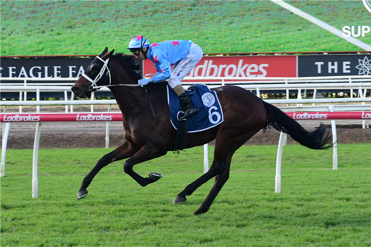 MANZOICE winning the TATTERSALL'S CUP - GROUP 3