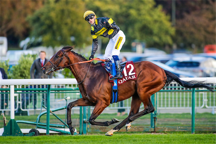MARANOA CHARLIE winning the Prix de la Foret at Longchamp in France.