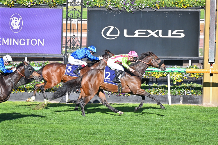 MARBLE NINE winning the Santa Ana Lane Sprint Series Final at Flemington in Australia.