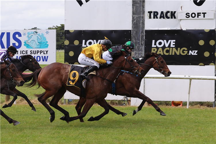 MAROTIRI MOLLY winning the VALLEY PLUMBING REDCRAZE BOWL