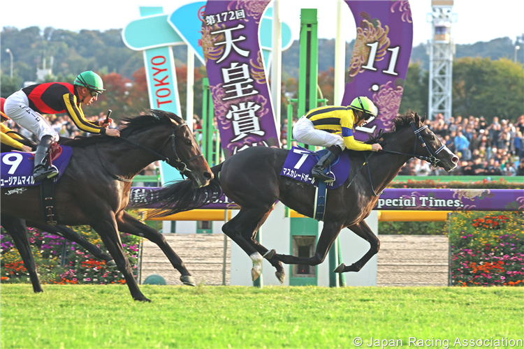 MASQUERADE BALL winning the Tenno Sho (Autumn) at Tokyo in Japan.