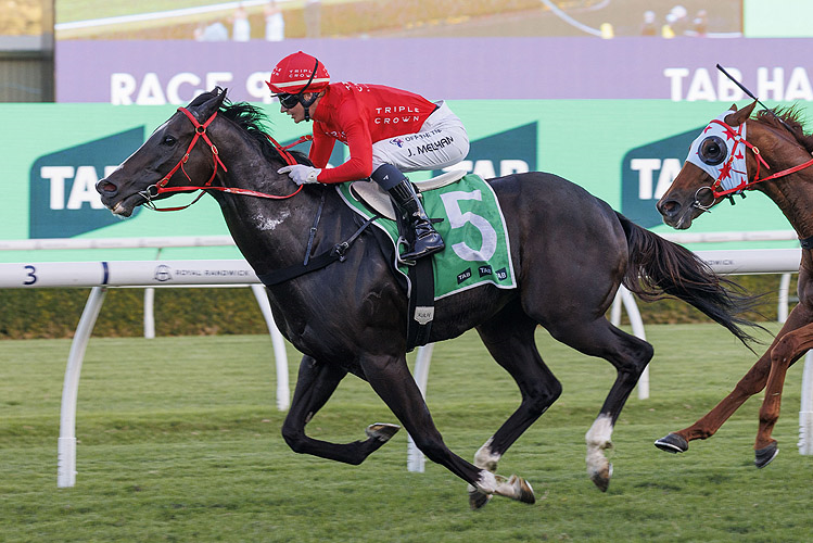 MAZU winning the TAB HALL MARK STAKES