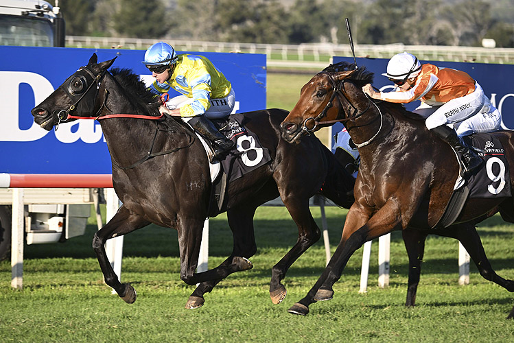 MELODY AGAIN winning the ARROWFIELD DARK JEWEL CLASSIC