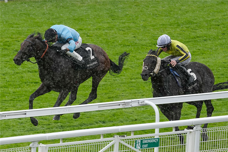 MERCHANT winning the Gordon Stakes at Goodwood in Chichester, England.
