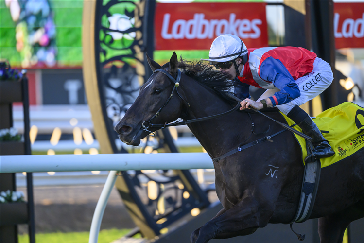 METALART winning the EUREKA STUD W.J HEALY STAKES - GROUP 3 at Eagle Farm in Australia.