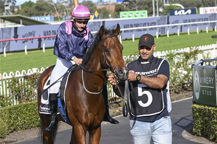 Jockey : BRAITH NOCK after winning the RANVET HANDICAP at Rosehill in Australia.