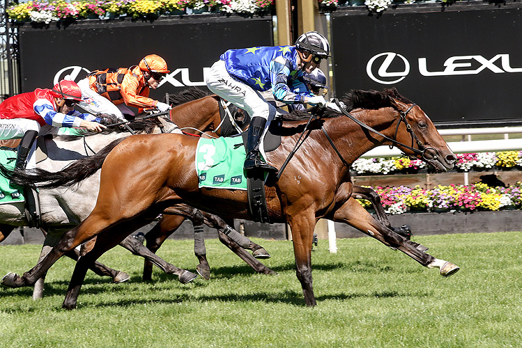 MIDDLE EARTH winning the TAB Australian Cup Prelude