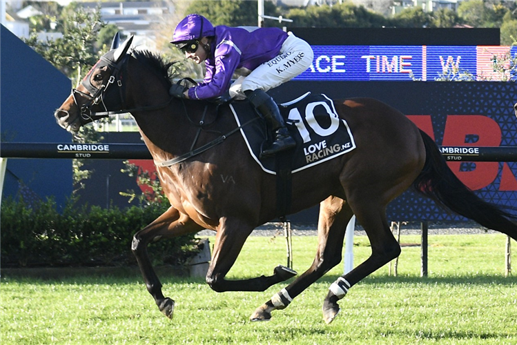 MIDNIGHT SCANDAL winning the EVERGREEN BLOODSTOCK