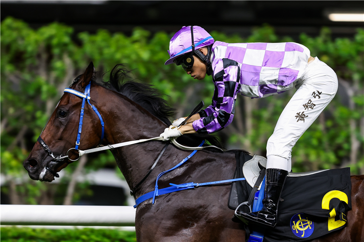 MIGHTY COMMANDER winning the HOI MEI HANDICAP