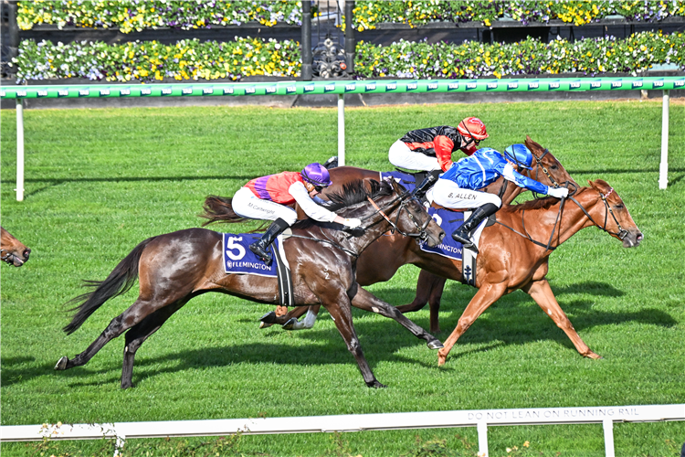 MISS OLE winning the Brendan Drechsler Handicap at Flemington in Australia.