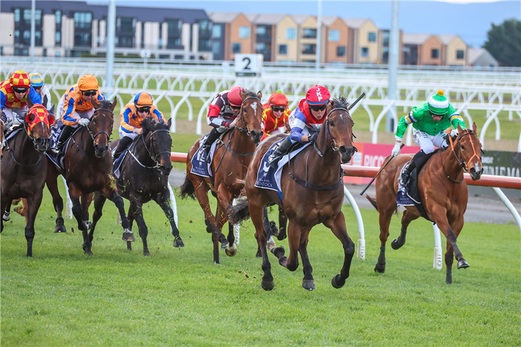 MISS STARLIGHT winning the NZB CANTERBURY BELLE STAKES