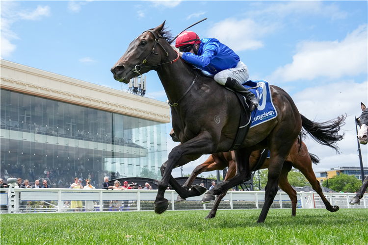 「赛车」夺冠蓝宝石锦标赛