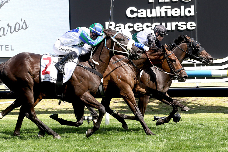 MR BRIGHTSIDE winning the Lamaro's Hotel Futurity Stakes