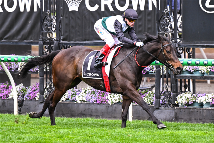 MR BRIGHTSIDE winning the Makybe Diva Stakes at Flemington in Australia.