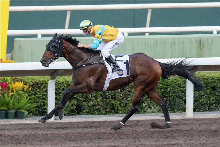 MR ENERGIA winning the THE WONG CUP (HANDICAP)