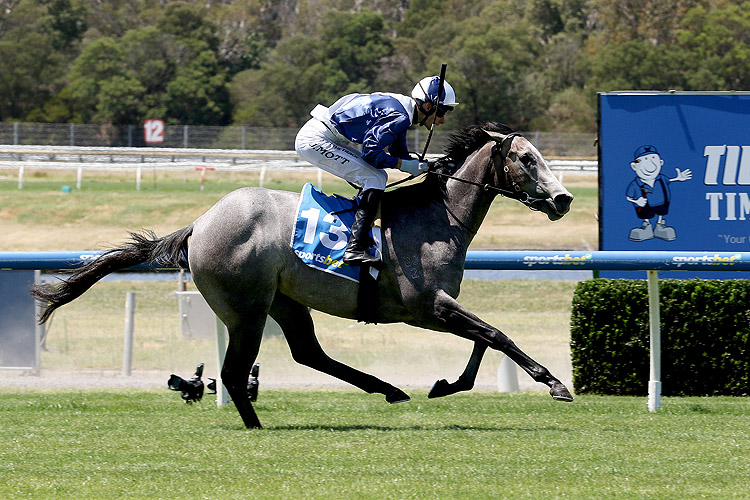 MY GLADIOLA winning the Sportsbet Blue Diamond Preview (F)(Chute)