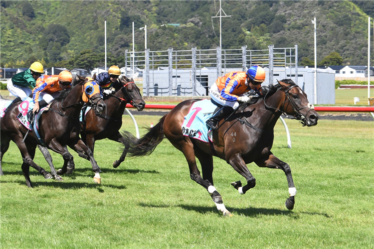 MY LIPS ARE SEALED winning the RYDGES WELLINGTON AIRPORT PHAR LAP TROPHY