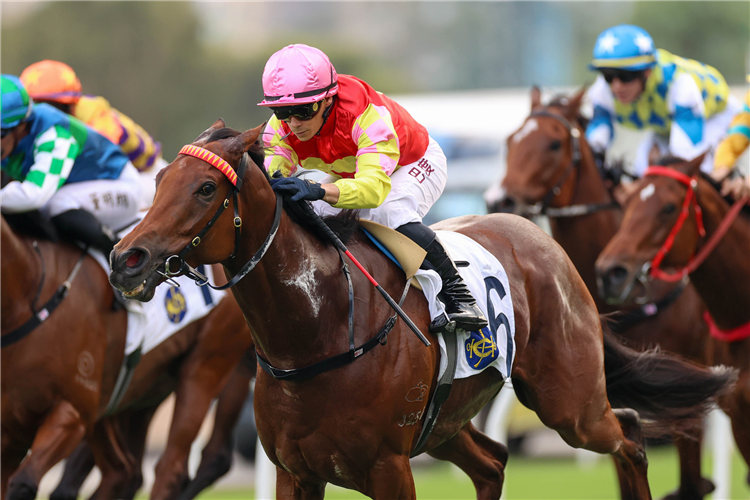 MY WISH winning the THE SHA TIN TROPHY (HANDICAP)
