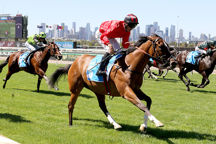 MYSTIC REIGN winning the Cirka Plate