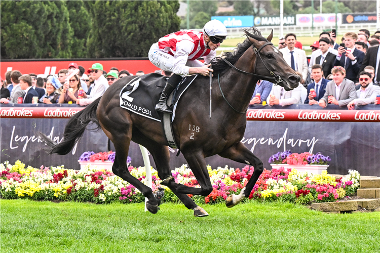 NAPOLEONIC winning the Red Anchor Stakes at Moonee Valley in Australia.