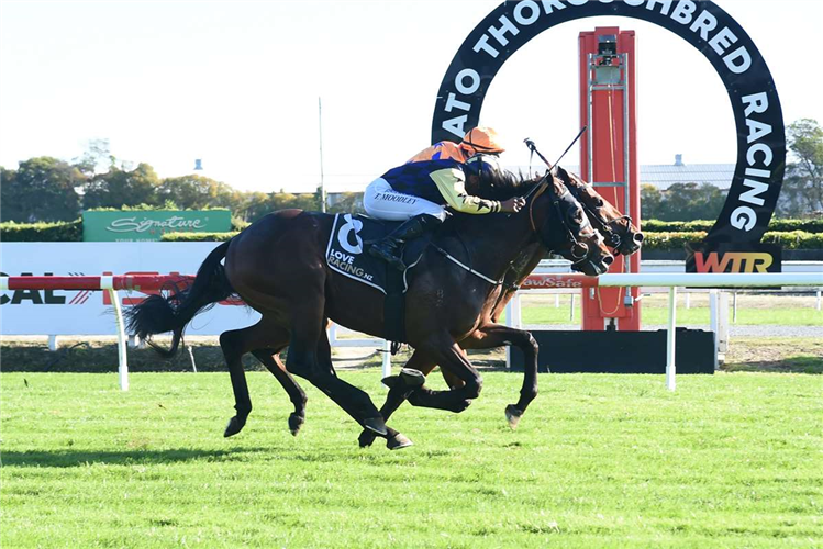 Navy Dreams (outside)