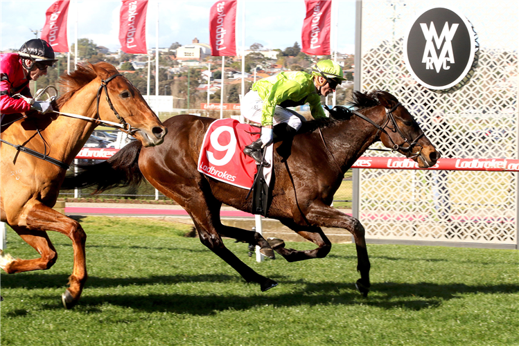 NAVY KING winning the MSC Signs Handicap