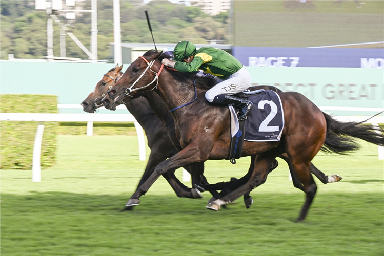 NEPOTISM winning the MO?T & CHANDON CHAMPAGNE STAKES at Randwick in Australia.